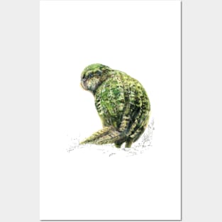 Mr Kākapo, New Zealand native bird Posters and Art